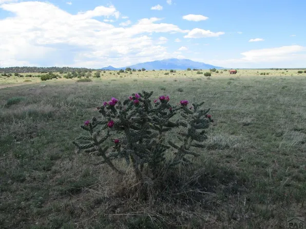 257 Rio Cucharas, Walsenburg, CO 81089