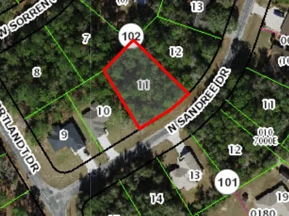 9991 N Sandree Dr, Citrus Springs, FL 34434