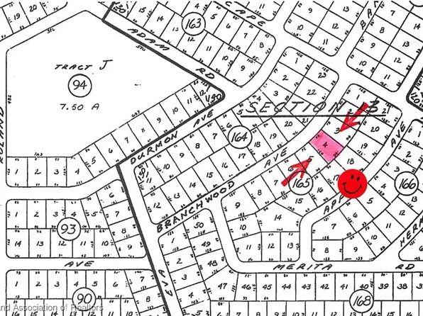 544 Branchwood Ave, Lake Placid, FL 33852