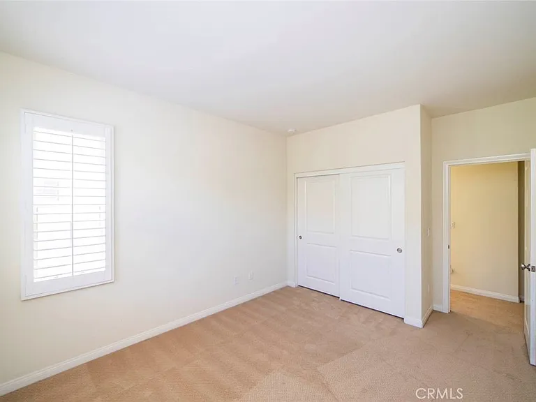 33 Bromeliad — Photo 17