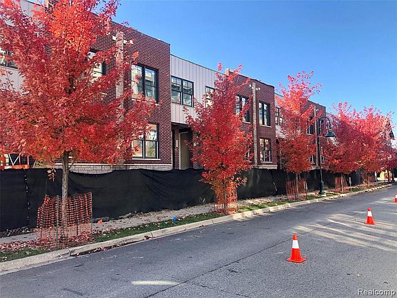 Fall tree colors