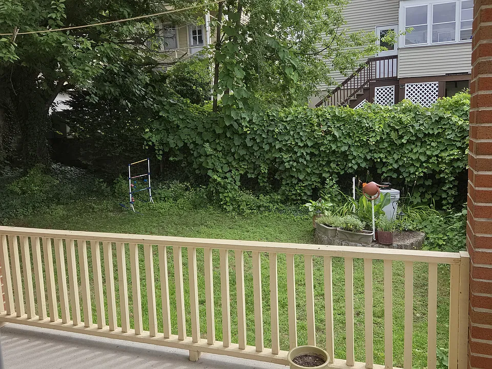 Shared back yard