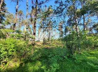 3 N Farming Rd #N, Woodruff, WI 54568
