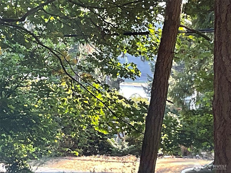 5th image of 10919 Riviera Drive