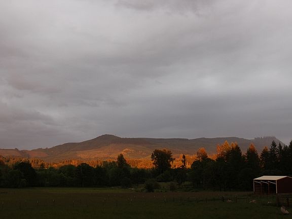 4th image of 40524 Highway 228