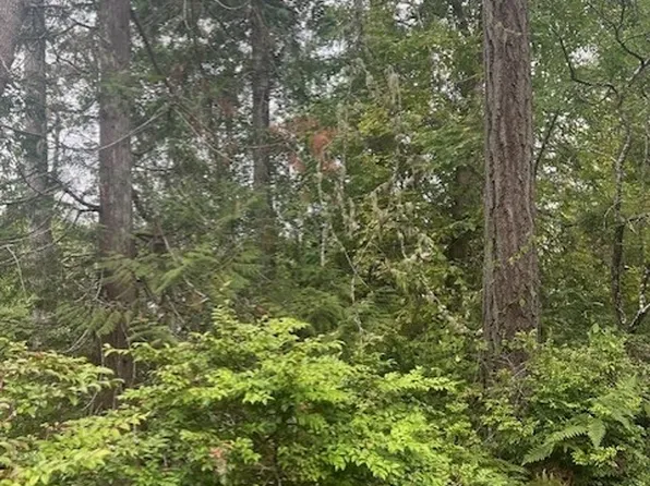 919 Sanford Avenue, Lakebay, WA 98349