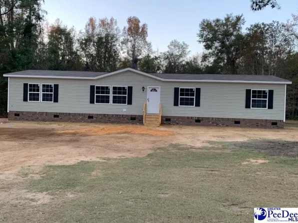 2347 Pineneedle Ct, Hamer, SC 29547