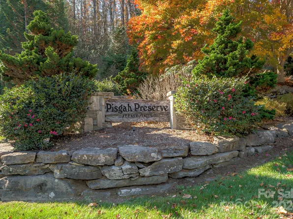1504 Pisgah Preserve Dr #6, Nebo, NC 28761