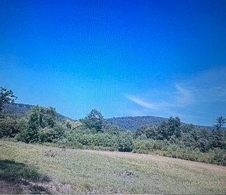 2nd image of TBD Black Bear Acres Lane