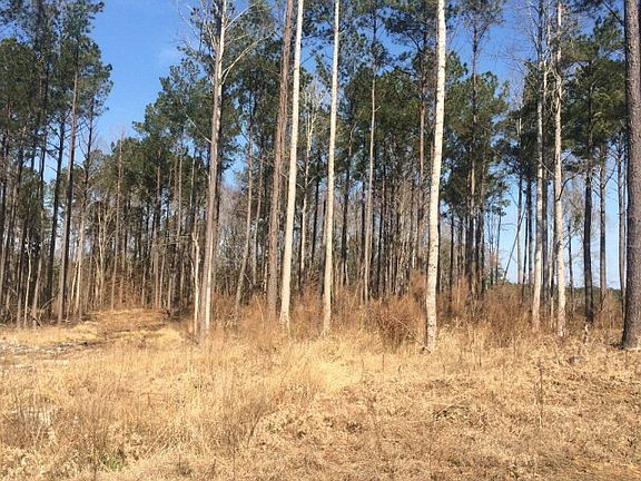 2nd image of 0 Neuse Road