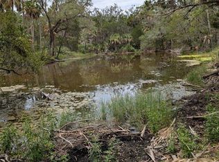 0 SE Camp Rd, Gulf Hammock, FL 32639