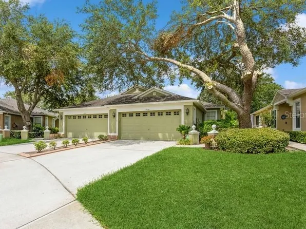 19108 White Wing Pl, Tampa, FL 33647