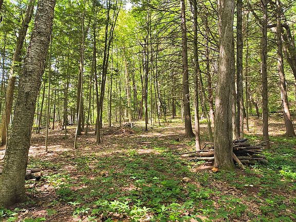 3rd image of 0 Round Hill Rd