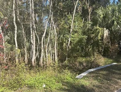 0 Collier Blvd, Saint Augustine, FL, 32084