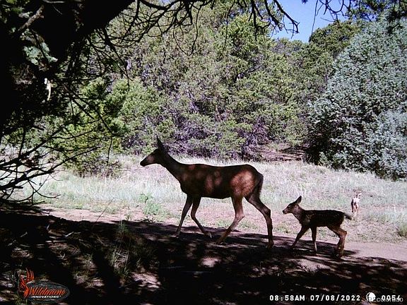 3rd image of Co. Rd. 55.4