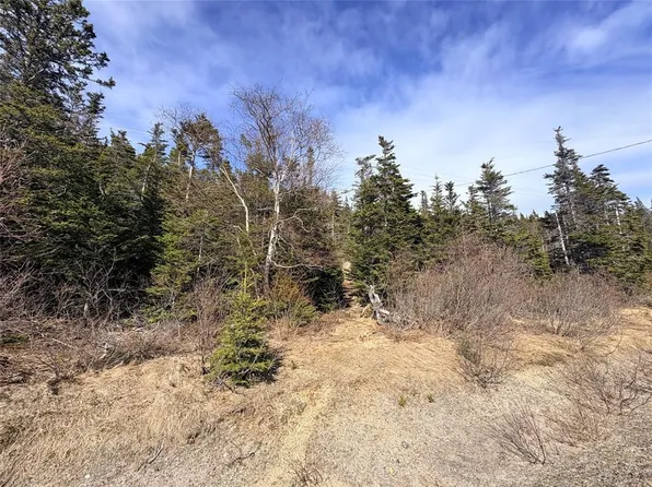 0 Random Island Road, Weybridge, NL A5A3A1