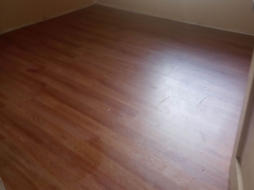 1st image of 1428 Orange Blossom Ave