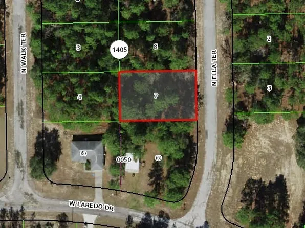 10936 N Ella Ter, Citrus Springs, FL 34433