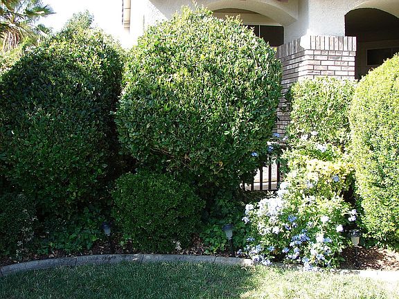 4th image of 5520 New Vista Dr