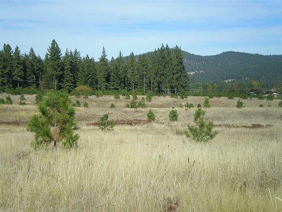 4th image of Pinebrook Dr