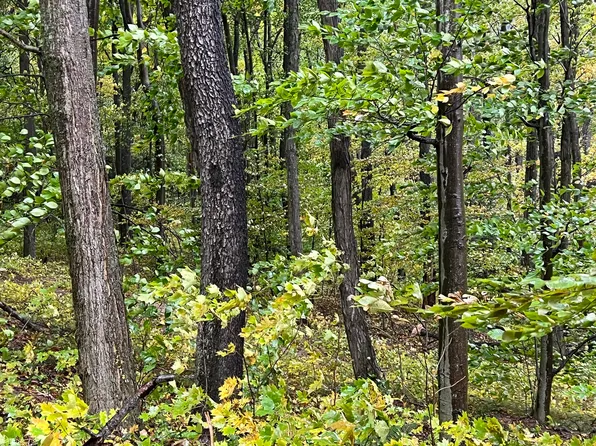 6668 142nd Ave Unit 1, Holland, MI 49423