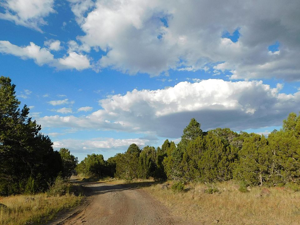 1st image of 261 Tbd Hwy