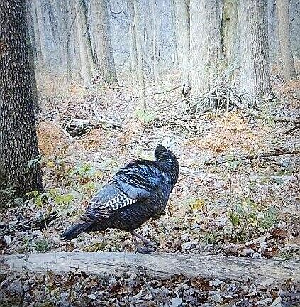 5th image of 4660 S Berkey Southern Rd