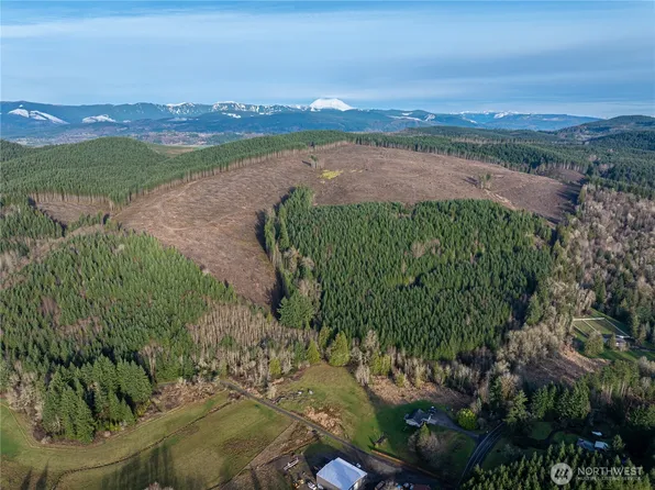 50 x Winston Creek Road, Mossyrock, WA 98564