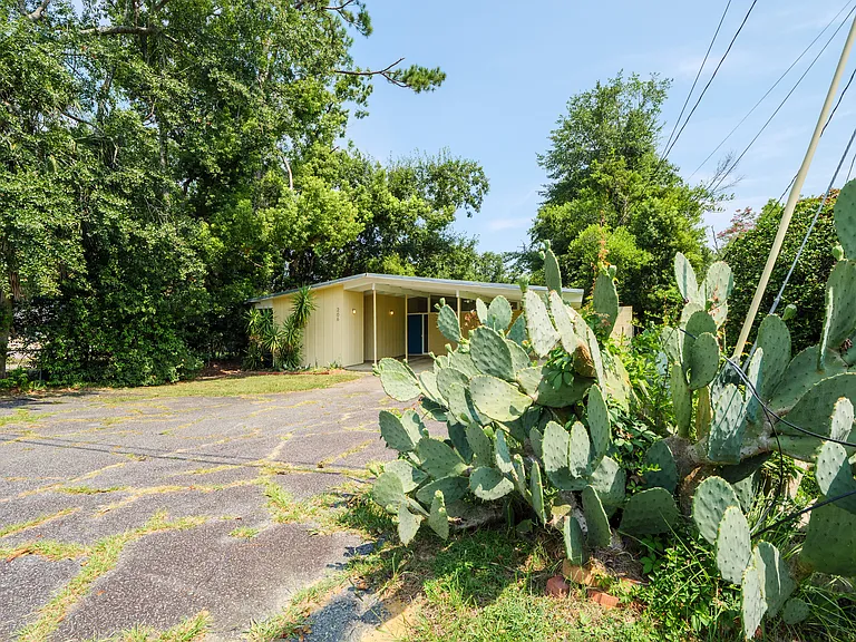 206 Wayne Ave — Photo 4