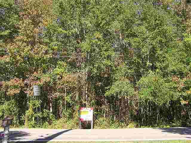 2nd image of Bradfordville Rd