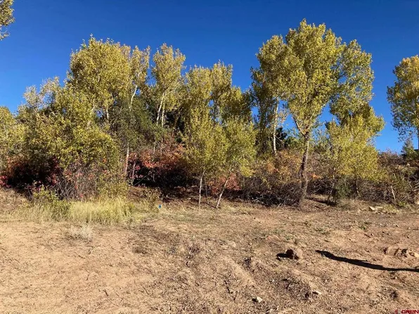 1590 SE 3rd Street, Cedaredge, CO 81413