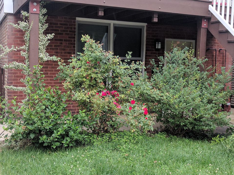 1st image of 4138 N Claremont Ave #1