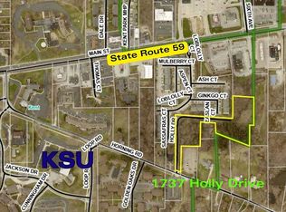 1737 Holly Dr, Kent, OH 44240