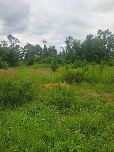 3941 Hillbilly Way, Mc Bee, SC, 29101