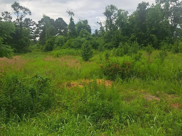 3941 Hillbilly Way, Mc Bee, SC 29101