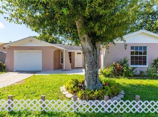 10110 Moores Mill Ct, Tampa, FL 33615
