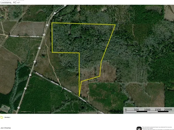 Dido Loop Lot Wp002, Pitkin, LA 70656