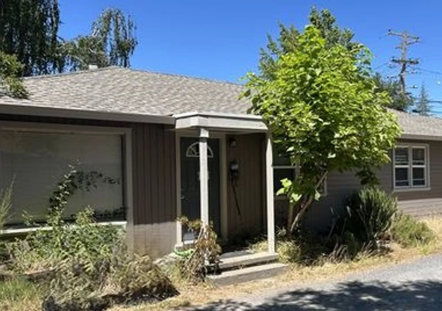 1 Bedroom, 1 Bath Sebastopol Gem — Photo 1