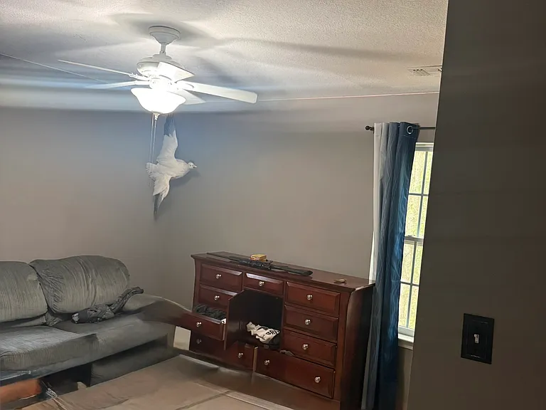 522 Meadow Ln — Photo 4