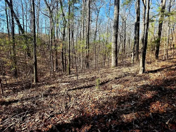 0 Stoney Point Rd S, Double Springs, AL 35553