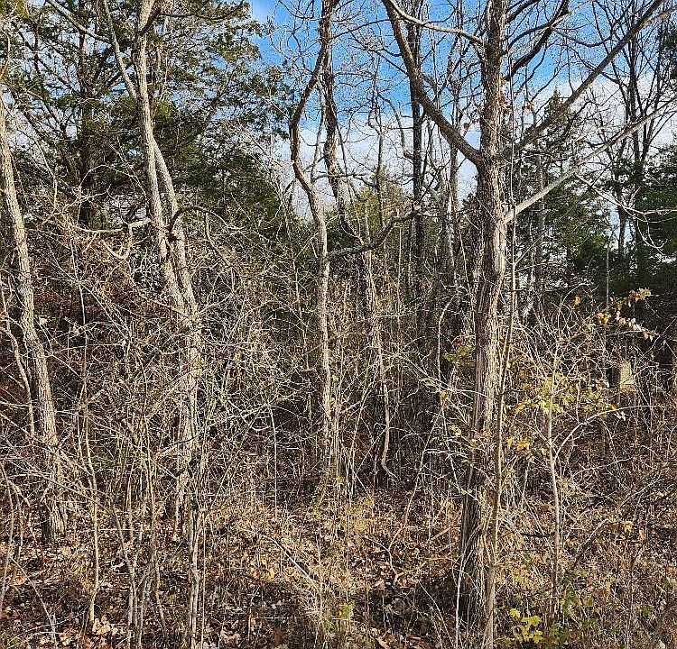 2nd image of 27 Rosemary Ln