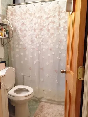 Rented by Aryeh Realty | media 38