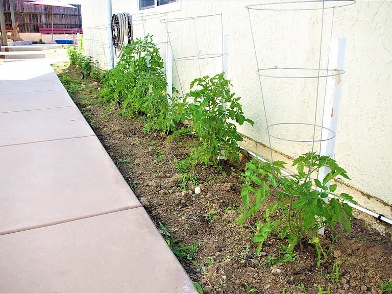10153 Hendricks Ct #1 — Photo 39