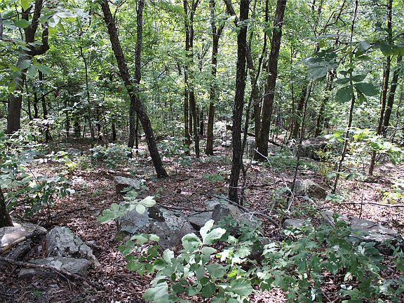 4th image of Buffalo Mountain Rd