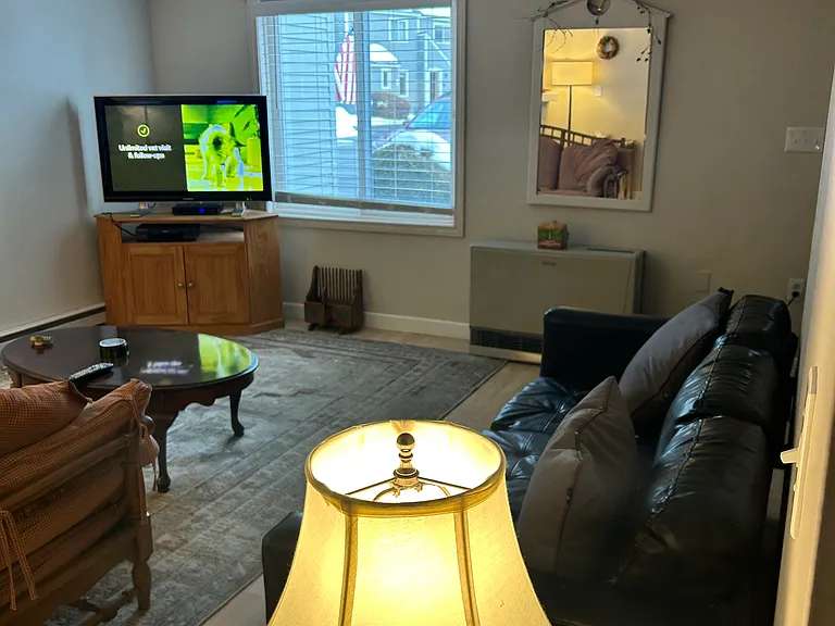 176 Alpine Village Dr — Photo 9
