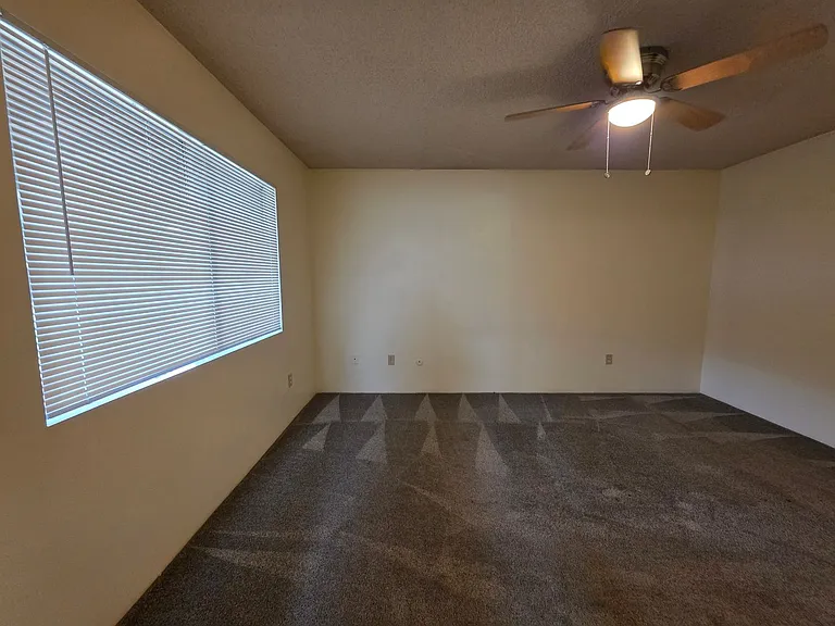 3824 Christmas Tree Ln — Photo 18