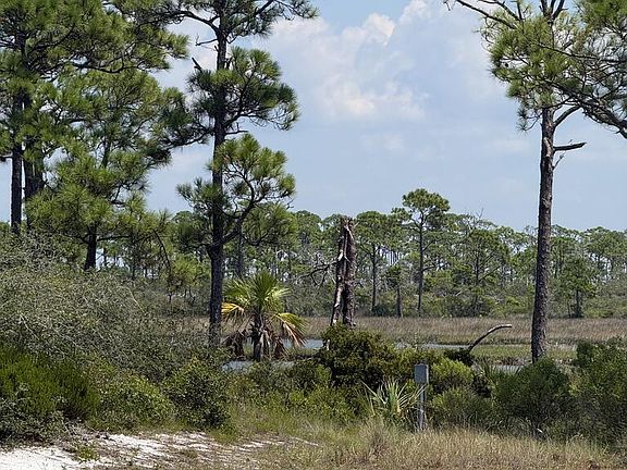 4th image of 4746 Cape San Blas Rd