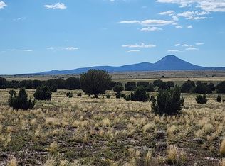 98 N Ten Tanks Rd, Ash Fork, AZ 86320