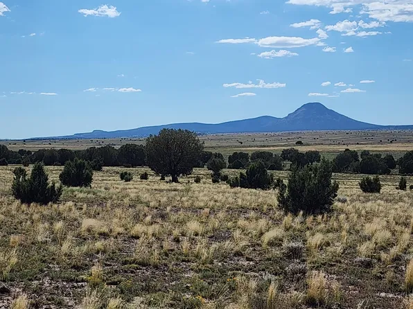 98 N Ten Tanks Rd, Ash Fork, AZ 86320