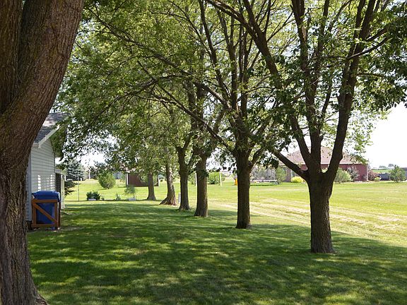 Mature Trees